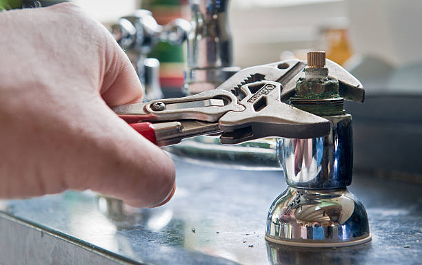 Best Mold removal after water damage  in Charlotte, TN