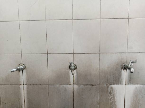Best Water damage contractors near me  in Charlotte, TN